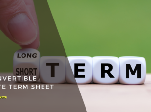 Convertible Note Term Sheet Template