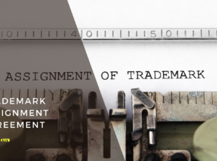 Trademark Assignment Template